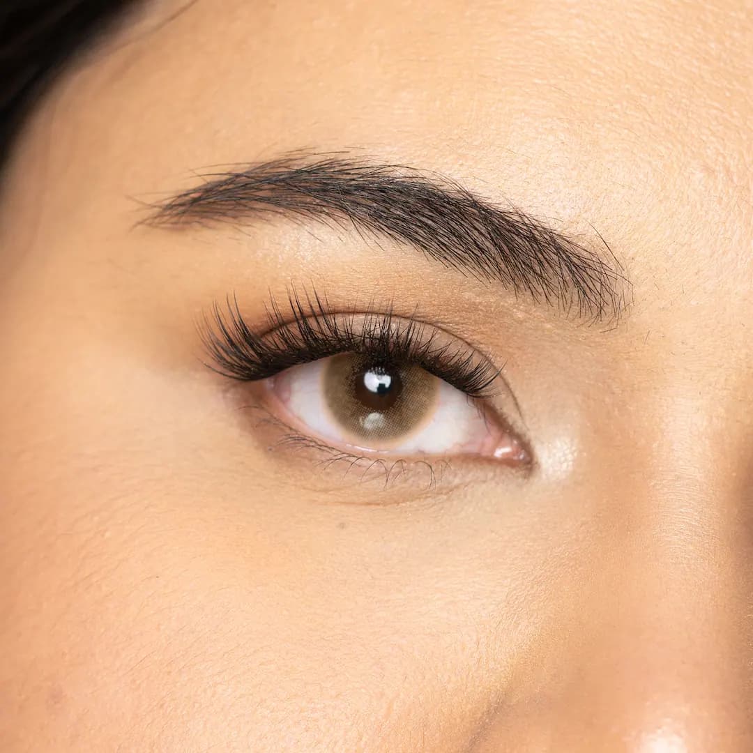 עדשות צבע Honey Brown