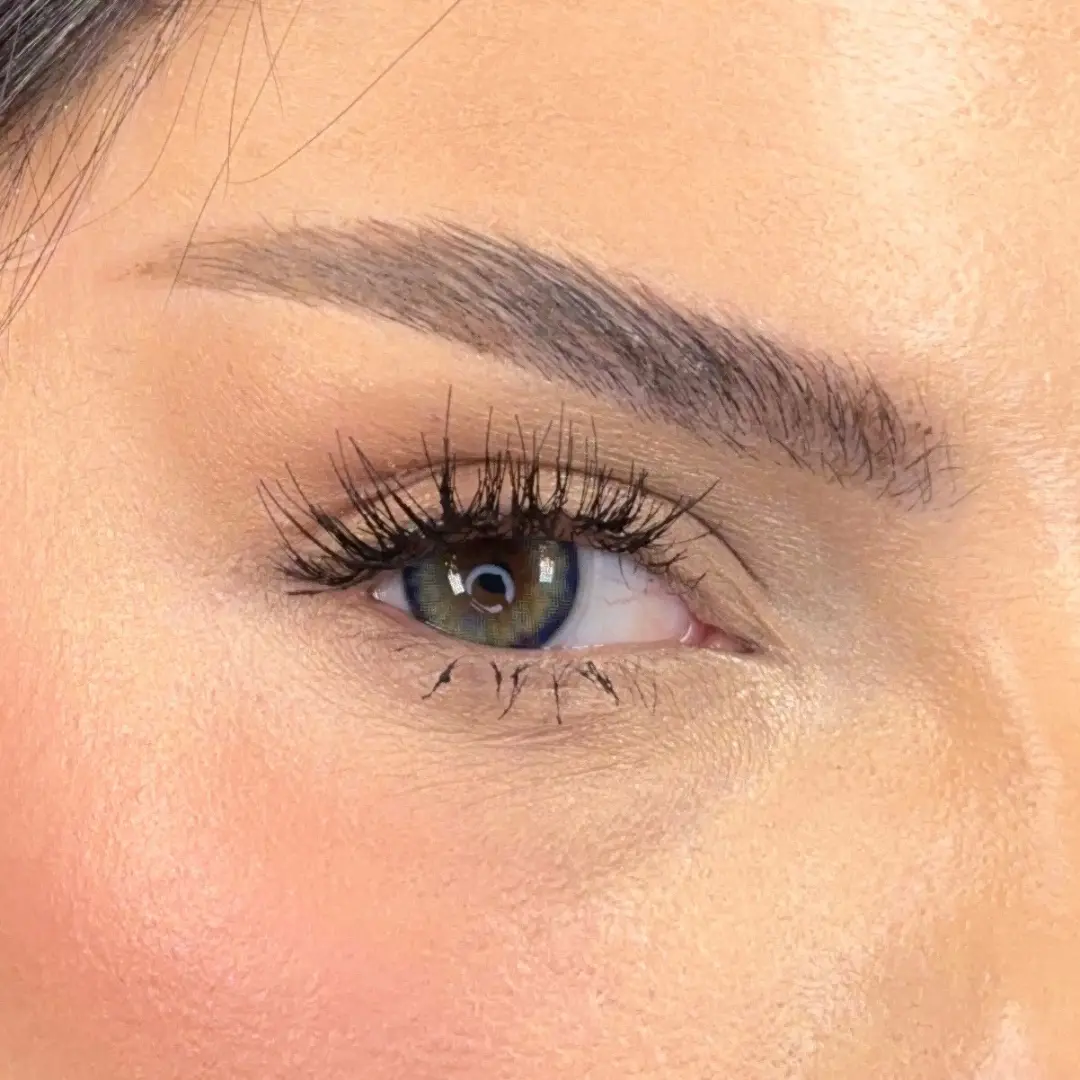 עדשות צבע Blue Gray